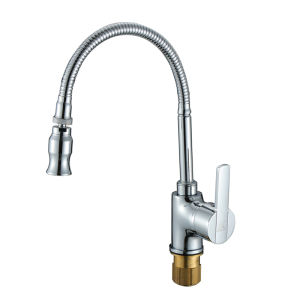 SHENGXUE | Adjustable Multi-Angle Kitchen Faucet
