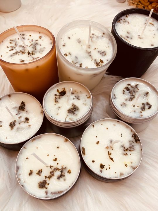 Citronella Insect Repellent Candle Lazada PH