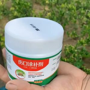 Keo liền sẹo cho cây cảnh hàng nội địa trung lọ 500g giúp bảo vệ vết cắt cây nhanh liền sẹo tặng kèm chổi bôi vết cắt