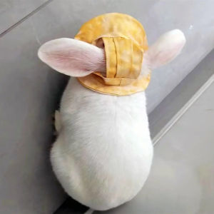Pet Rabbit Hat Summer Outdoor Ear Drop Rabbit Dwarf Rabbit Cat Dog Fisherman Cap Sun Protection Headwear for Pets