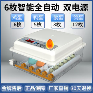 Miniature Automatic Intelligent Incubator for Home Use Duck Goose Pigeon Bird Chicken Egg Hatcher Small Hatchery Machine