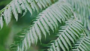 Azmeela Yumna Khimar Instant Cantik dan Anggun