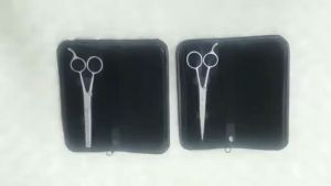 Imported Professional Stainless Barber Hair Cutting & Thinning Scissors Hairdressing