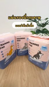 Petcho แผ่นรองฉี่ แผ่นรองฉี่สุนัข แผ่นรองซับ สัตว์เลี้ยง ซับได้มาก พลังการดูดซับ 6ชั้น ช่วยฝึกขับถ่าย pet pee pad