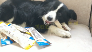 Dogs Snack for Large Dogs Medium Dogs Alaskan Dog Chew Stick Dog Dental Chew Stick Dental Bones Double-Layer Spiral Dental Chew Stick Dog Ham Treats