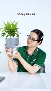 Chậu trồng cây tự tưới thông minh MONROVIA cho hoa cây cảnh bonsai để bàn ban công Tiêu Chuẩn Châu Âu