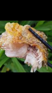 500gr  KHÔ CÁ SẠC  CÁ BỎI LOẠI NGON CÀ MAU-  VỰA KHÔ MINH TRIẾT