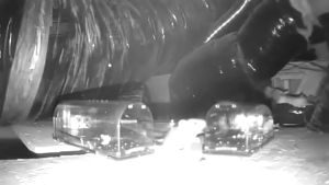 HP302ที่ดักหนู ขนาดใหญ่ กับดักหนู ถังดักหนู กับดักสัตว์ป่า ถังดักหนูบ้าน กรงดักหนู หัวเชื้อดักหนู กำจัดหนู mouse and rat trap กับดักหนูนา ดักหนูในบ้าน อุปกรณ์ดักหนู ที่ดักหนูบ้าน เครื่องดักหนู กับดักหนูใหญ่ กรงดักหนูใหญ่ กับดักหนูบ้าน