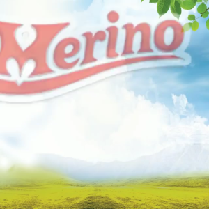 COMBO 10 sữa chua dẻo phô mai Merino 50g