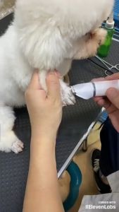 4IN1 Wireless Pet Hair Clippers Shaver Electric Hair Clipper Grooming Trimmer Nail Grinder Set 宠物剃毛器