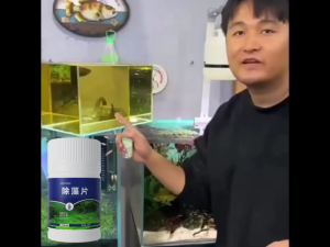 【Buy 1 Take 2】Large Capacity High-Quality Water Purification Sheet Aquarium Algae Removal Sheet Efficient Cleaning Aquarium And Fish Tank Suitable For Aquarium Fish Tank And Pond