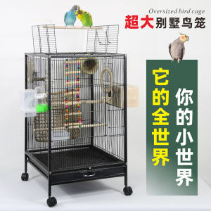 New Arrival Bird Cage Parrot Cage For Home Large Xuanfeng Tiger Skin White Eye Pearl Dedicated Aviary Large Space