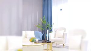 UVC Light Sanitizer with Remote Control 3-Speed Timing Ultraviolet 110V/220V UV Light Sanitizer Home Room Disinfection Device