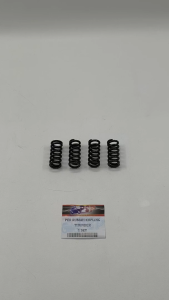 Per Rumah Kopling Thunder (Set Isi 4) - Pir Peer Kampas Kopling House Suzuki THUNDER Thunder 125