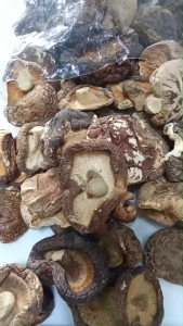 (100 กรัม) เห็ดหอมตากแห้งไซส์ใหญ่ ( คัดเกรดพรีเมียม) เนื้อหนา หอม อร่อย เหมาะสำหรับประกอบอาหาร