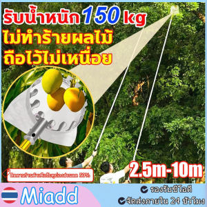 【ค่าส่งถูก】ตะกร้อสอยผลไม้ มะม่วง อะโวคาโด ที่สอยมังคุด อุปกรณ์สอยผลไม้(ด้ามยืดหดได้ 2.5/7/10M) จะไม่เกาผลไม้ ตะกร้อสอยมะม่วง ไม้ สอยผลไม้ เมตร เก็บผลไม้จากที่สูง เสาสแตนเลส ปลอดภัย และสะดวกสบาย ทีเก็บผลไม้