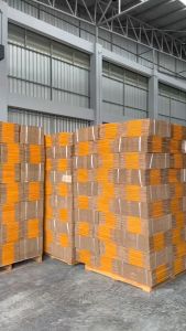 กล่องไปรษณีย์ พัสดุ เบอร์ AA 🔴ราคาถูกๆ 20ใบ