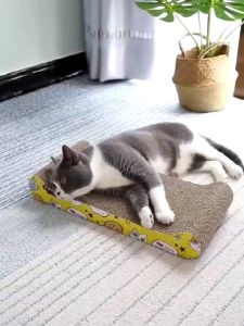 Winky Wink ลับเล็บแมว ทรงโซฟา กระดาษลับเล็บ พร้อมส่ง