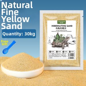 CHONGXIAOSHUAI | Turtle Hibernation Egg Incubation and Aquarium Landscape Sand
