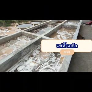 เขียงไม้มะขาม ไม้เค็ง ทรงกลม ขนาด19นิ้วหนา8-10cm.แช่น้ำเกลือสูตรเฉพาะ จากโรงงานผลิตเขียงไทย