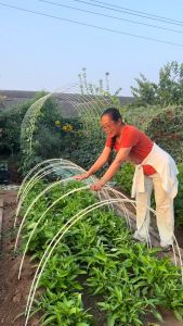 แท่งพลาสติก ABS แท่งกลมตัน หลายขนาด มีให้เลือก ไม้ค้ำต้น หลักไม้เลื้อย เสาต้นไม้ ค้างต้น ซูมต้น ค้างผัก โรงเก็บฉนวน ที่กำบังฝน ที่พักพิงแมลง ม่านบังแดด ไม่เป็นสนิม ไม่แตกหัก ความต้านทานต่อกรดและด่าง