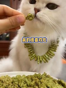 bánh cỏ catnip hình con cá 40gr dành cho mèo - T3 PETS SHOP
