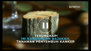 VIDEO KOMPAS.mp4