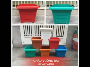 Chậu nhựa to đại trồng cây cảnh cây ăn trái trồng sen súng đều rất thích hợp.