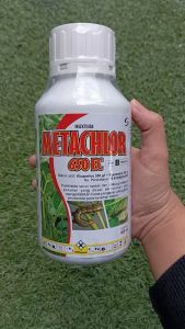 Insektisida METACHLOR 650 EC 400 ML Pembasmi Hama Ulat dan Wereng