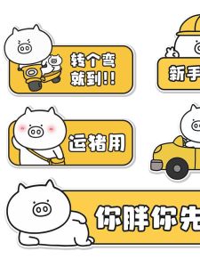 Miếng Dán Xe Phản Quang Từ Tính Qimohu Dành Cho Tài Xế Mới Miếng Dán Xe Hơi Hoạt Hình Thời Gian Thực Tập Cho Phụ Nữ Tài Xế