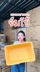 กระบะทรายแบบจัมโบ้ ขนาด 58Cm กระบะทรายแมว ห้องน้ำแมวขนาดใหญ่