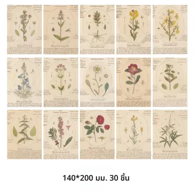 Journamm 30 ชิ้น/แพ็คหนังสือพิมพ์วินเทจสไตล์วัสดุกระดาษน้ําหนักเบากระดาษ DIY Scrapbooking Collage ขยะ Journal กระดาษตกแต่ง