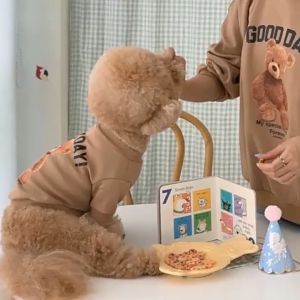 Pet Clothes Sweater for Autumn and Winter Puppy Cat Shih Tzu Fleece Cute Warm