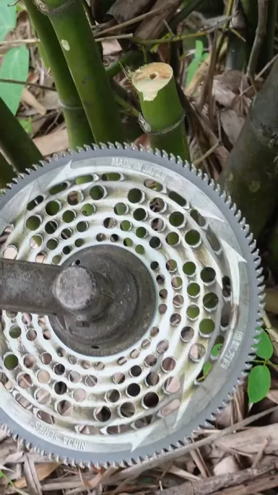 6 อันดับ ใบมีดตัดหญ้าวงเดือน ยี่ห้อไหนดี? อัปเดตปี 2025 สำหรับงานสวนทุกรูปแบบ