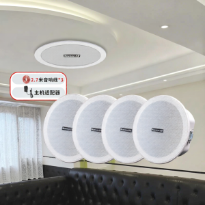 ลำโพงไร้สาย Bluetooth ซ่อมแซมร้านค้าแบบฝังในผนังเพดานลำโพงเสียงชั้นนำ Neumann K-908A ลำโพงไร้สายแบบห้อยจากฝาผนัง