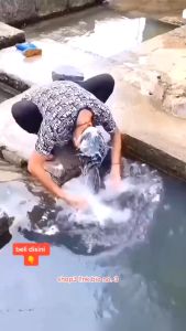 Sisir Keramas Bulat Sisir Rambut Sisir Ketombe