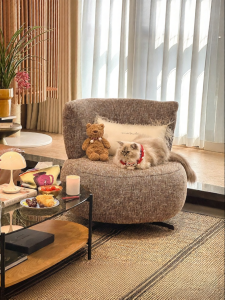 PURPLELEAF | Rotational Minimalist Single Sofa