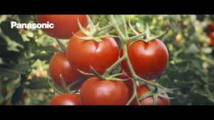 Panasonic NA-26CVX1AMY (13kg) Purified Water & Hygiene Care Front Load Washing Machine