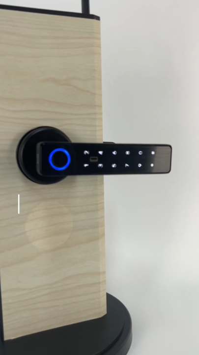 H11 Lock Smart Auto Lock AG H11 & H11L / Smarter Way To Unlock Door-Lever Series ...