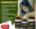 STAMINOFIT OBAT HERBAL STAMINA PRIA DAN EJAKULASI DINI. 
