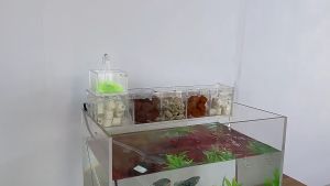 1 กิโลกรัม เซรามิคริง Ceramic Ring น้ำตู้ปลา บ่อปลา วัสดุกรอง