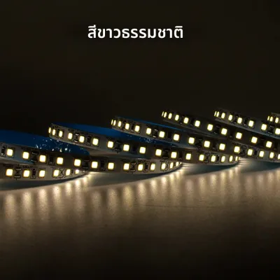 12V 2835 LED Strip Light 120 LEDs/M สีแดงสีเขียวสีฟ้าสีเหลือง Warm WhiteTape ริบบิ้นความสว่างสูง 8 มม.สําหรับตกแต่งห้องแสง