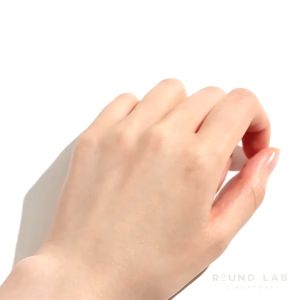 Round Lab Birch Juice Sunscreen 50ml - Birch Juice Moisturizing Sun Cream SPF50+ PA++++ Sunblock