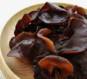 JAMUR KUPING SEGAR RP 13.000 / 500 GRAM