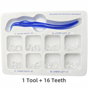 Dental Posterior Teeth Aesthetic Printing Kit Dentistry Reshape Resin Fissure Printing Stamp Posterior Teeth Molding Impres