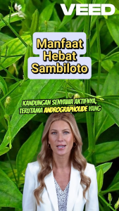 Kapsul Herbal Sambiloto – 50 Kapsul Penjaga Daya Tahan Tubuh Alami