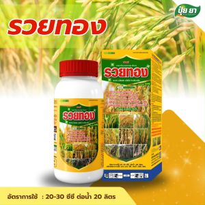 ข้าวรวยทอง เร่งข้าวรวงใหญ่ รวงยาว เมล็ดเต่ง เมล็ดใส ออกรวงสุด ทนหนาว ทนร้อน ต้านทานโรค แมลง อะมิโนข้าว ปุ๋ยยา 1 ลิตร