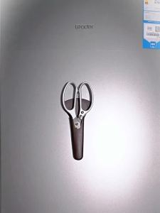 Zhang Xiaoquan | High Hardness Sharp Kitchen Scissors