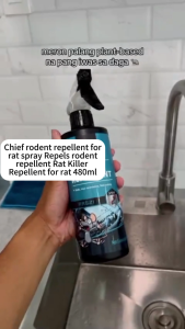 Buy 1 Get 1 Free Mouse/Rat Killer Repellent Spray Repels Cockroach Insect Use on Home Car Pipe 480ml Anti Rat Spray Mint Scent Repelling Rat Cockroach Ant Flies Anti Rat Off Spray