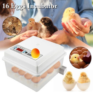 AC 110V~220V Eggs Incubator 16 Eggs Digita Mini Automatie Incubatores with Turner for Hatching Turkey Goose Quail Chicken Eggs Egg Hatcher Machine